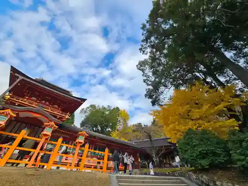 春日大社(奈良県)