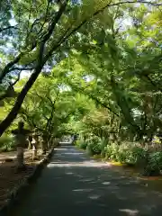 法華寺(岐阜県)