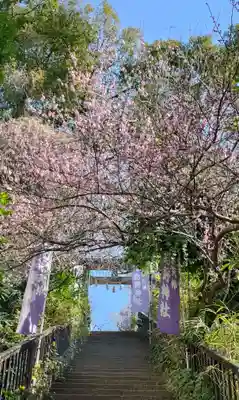 牛天神北野神社(東京都)