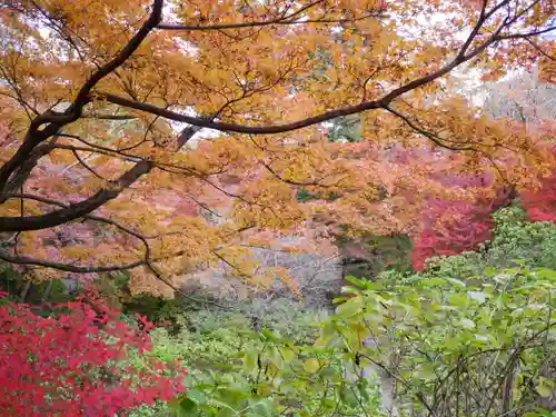 洞窟観音・徳明園・山徳記念館の景色