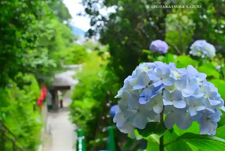 岩殿寺(神奈川県)