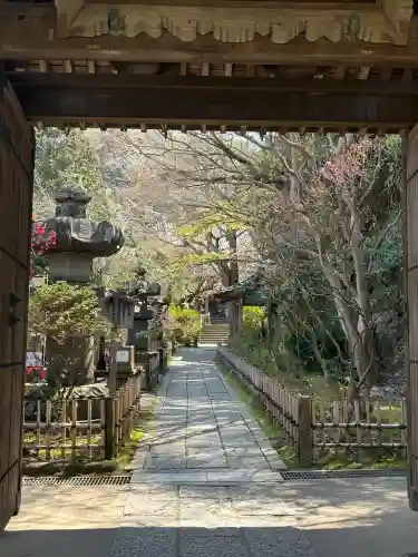 安國論寺（安国論寺）の{uncategorized: "未分類", other: "その他", undefined: "問題あり", building: "その他建物", grave: "お墓", sacred_gate: "鳥居", guardian: "狛犬", statue: "像", buddha: "仏像", history: "歴史", nature: "自然", garden: "庭園", animal: "動物", pagoda: "塔", temizu: "手水舎", mountain_gate: "山門・神門", sanctuary: "本殿・本堂", subordinate: "末社・摂社", art: "芸術", scenery: "景色", jizo: "地蔵", ema: "絵馬", goshuin: "御朱印", omikuji: "おみくじ", items: "授与品その他", amulet: "お守り", goshuincho: "御朱印帳", eats: "食事", festival: "お祭り", votive_dance: "神楽", shichigosan: "七五三参", wedding: "結婚式", experience: "体験その他", initially: "初詣", around: "周辺", anti_infection: "感染症対策"}