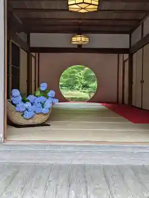 明月院(神奈川県)