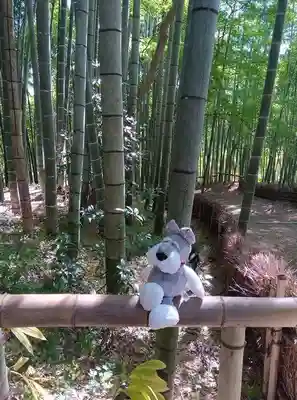 八王寺(埼玉県)