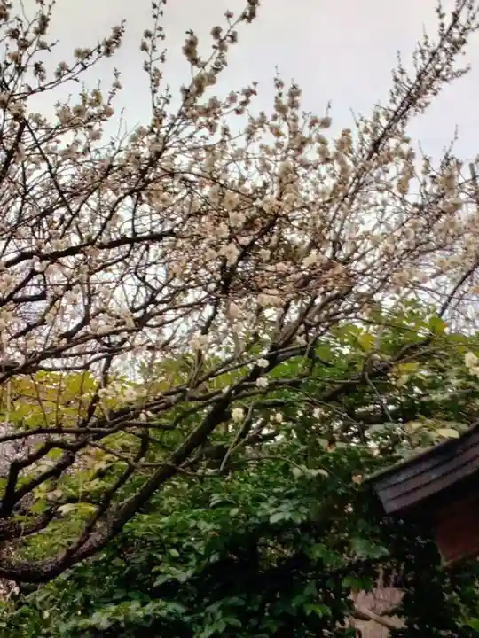 牛天神北野神社(東京都)