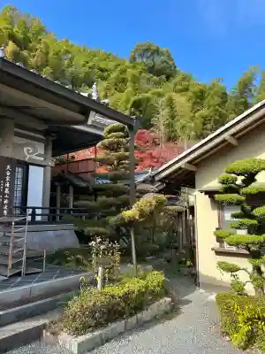 長法寺の{uncategorized: "未分類", other: "その他", undefined: "問題あり", building: "その他建物", grave: "お墓", sacred_gate: "鳥居", guardian: "狛犬", statue: "像", buddha: "仏像", history: "歴史", nature: "自然", garden: "庭園", animal: "動物", pagoda: "塔", temizu: "手水舎", mountain_gate: "山門・神門", sanctuary: "本殿・本堂", subordinate: "末社・摂社", art: "芸術", scenery: "景色", jizo: "地蔵", ema: "絵馬", goshuin: "御朱印", omikuji: "おみくじ", items: "授与品その他", amulet: "お守り", goshuincho: "御朱印帳", eats: "食事", festival: "お祭り", votive_dance: "神楽", shichigosan: "七五三参", wedding: "結婚式", experience: "体験その他", initially: "初詣", around: "周辺", anti_infection: "感染症対策"}