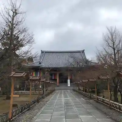 智積院の本殿・本堂