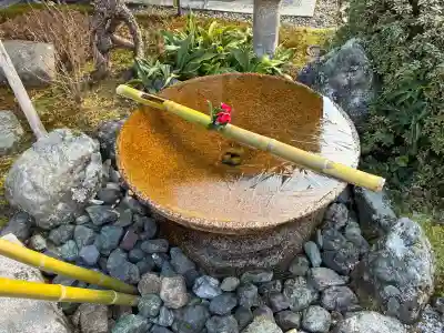 圓光寺(京都府)