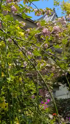 和光寺(大阪府)