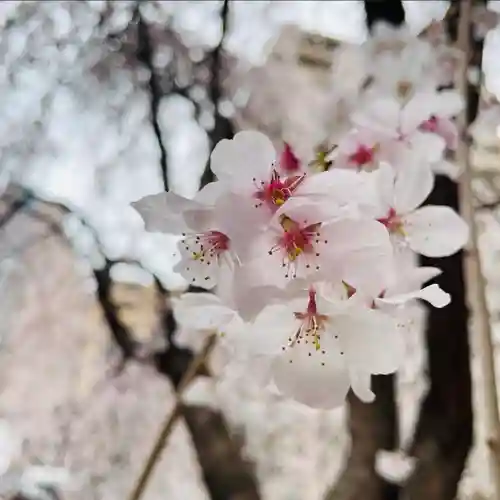 頂法寺（六角堂）(京都府)
