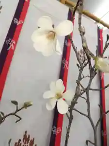 厚別神社(北海道)(2024年04月06日(土) 10時18分16秒投稿)