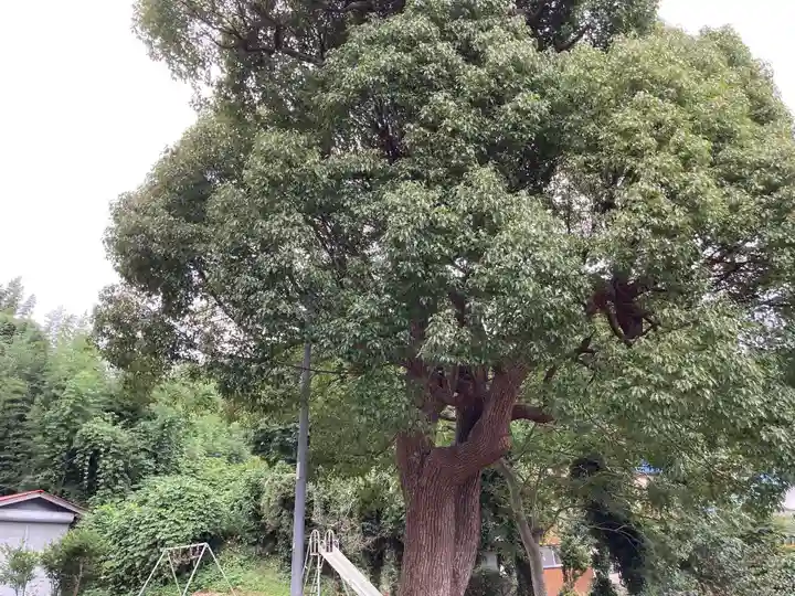御嶽神社(生沢)(神奈川県)