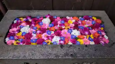 菅生神社(愛知県)