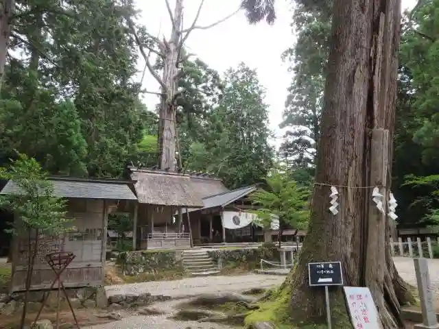 元伊勢内宮 皇大神社(京都府)