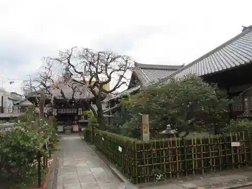 地蔵院（椿寺）の庭園