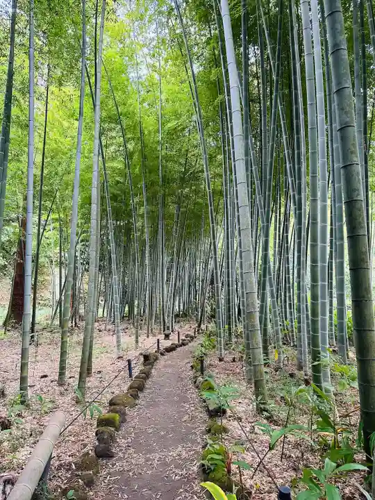英勝寺(神奈川県)