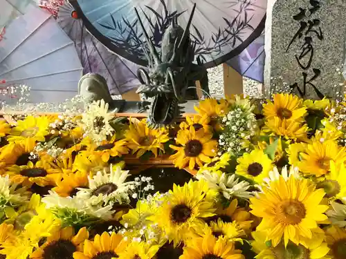 札幌諏訪神社の手水舎