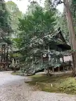 葛木御歳神社(奈良県)