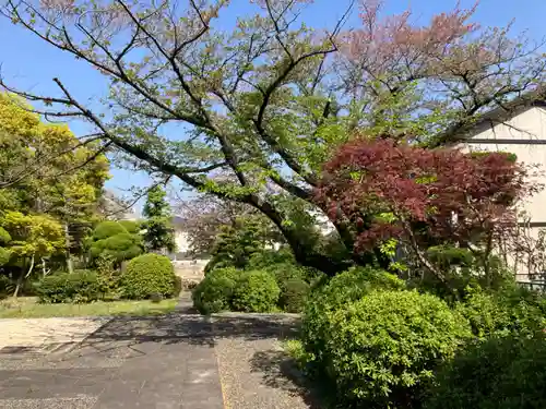 西光院の庭園