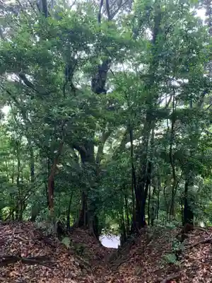 神社（名称不明）の周辺