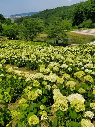陽林寺(福島県)