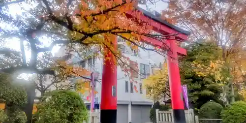 亀戸天神社(東京都)