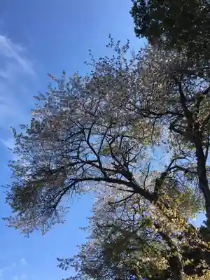 八幡神社(北海道)
