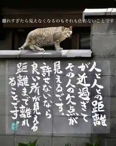 専念寺(大阪府)(2022年09月24日(土) 20時12分08秒投稿)