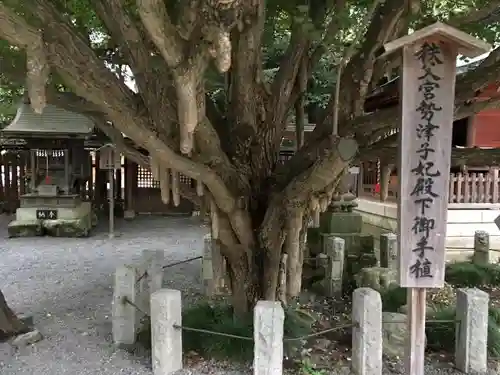 秩父神社の自然