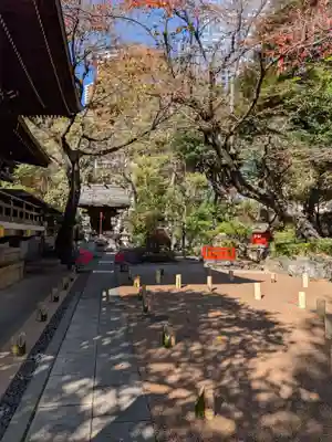 熊野神社(東京都)