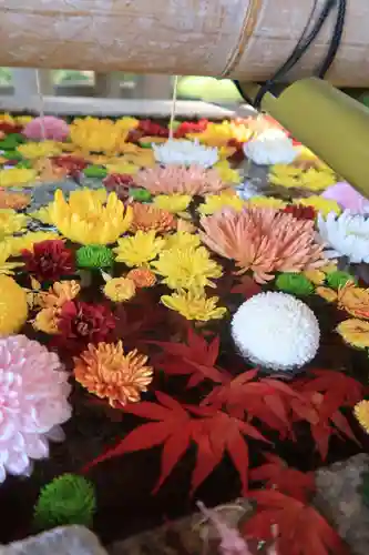 石清水八幡宮の手水舎