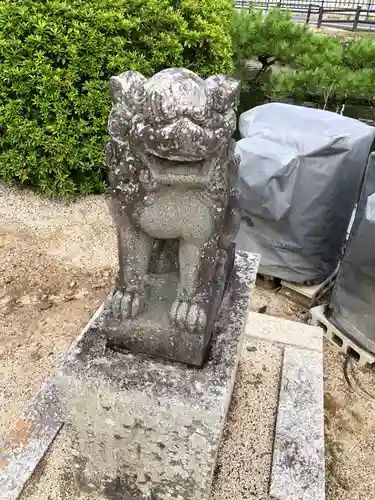 吉備津神社の狛犬