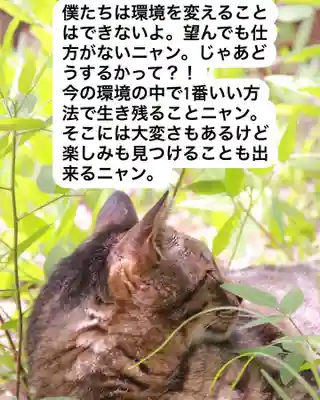 専念寺(大阪府)