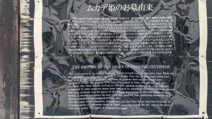 光台寺の{uncategorized: "未分類", other: "その他", undefined: "問題あり", building: "その他建物", grave: "お墓", sacred_gate: "鳥居", guardian: "狛犬", statue: "像", buddha: "仏像", history: "歴史", nature: "自然", garden: "庭園", animal: "動物", pagoda: "塔", temizu: "手水舎", mountain_gate: "山門・神門", sanctuary: "本殿・本堂", subordinate: "末社・摂社", art: "芸術", scenery: "景色", jizo: "地蔵", ema: "絵馬", goshuin: "御朱印", omikuji: "おみくじ", items: "授与品その他", amulet: "お守り", goshuincho: "御朱印帳", eats: "食事", festival: "お祭り", votive_dance: "神楽", shichigosan: "七五三参", wedding: "結婚式", experience: "体験その他", initially: "初詣", around: "周辺", anti_infection: "感染症対策"}