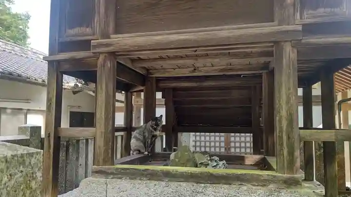 吉備大臣宮の動物