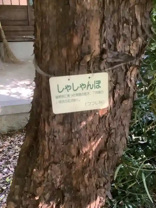 萱津神社のその他建物