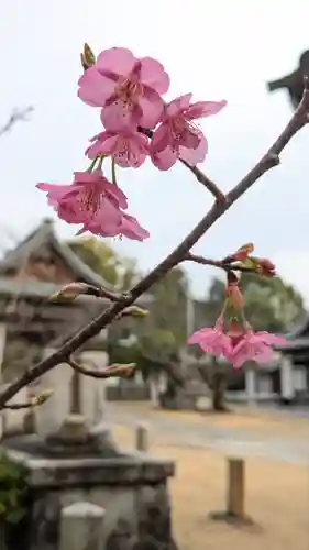 新日吉神宮(京都府)