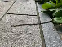 長光寺(長野県)