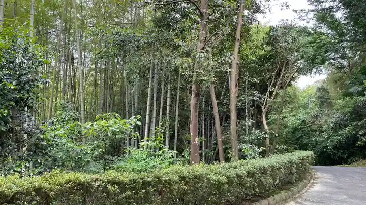 牟禮山観音禅寺(滋賀県)