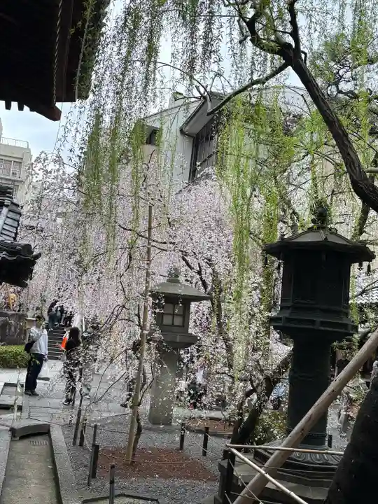 頂法寺(六角堂)(京都府)