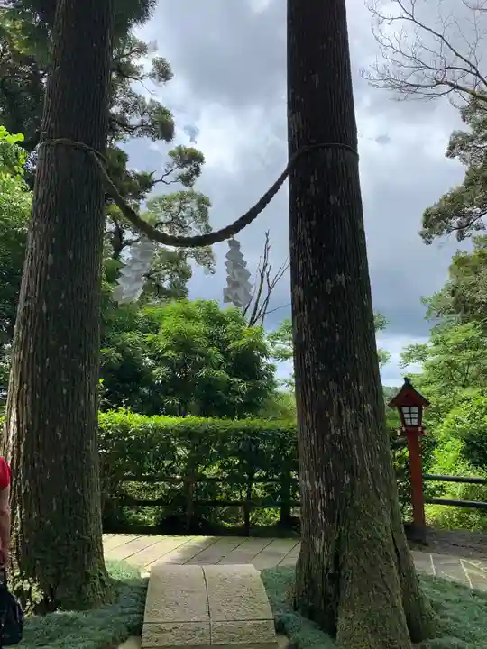 霧島東神社の自然