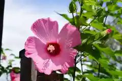 豊景神社の自然