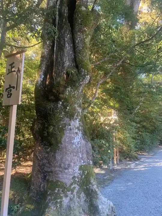 伊勢神宮外宮(豊受大神宮)(三重県)