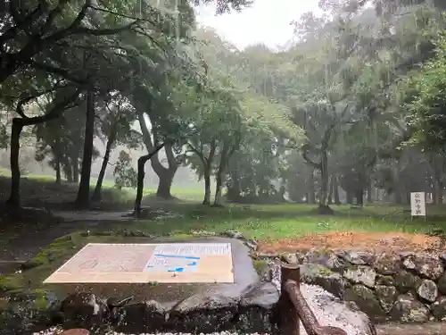 宇佐宮弥勒寺跡の自然