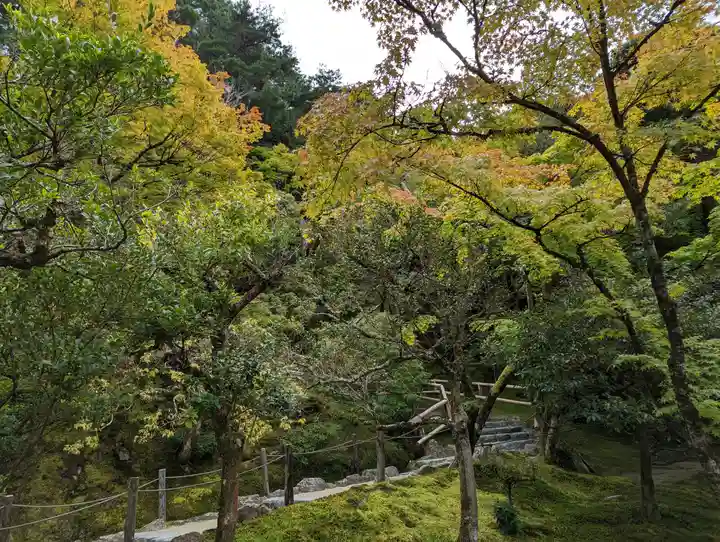 慈照寺(慈照禅寺・銀閣寺)(京都府)