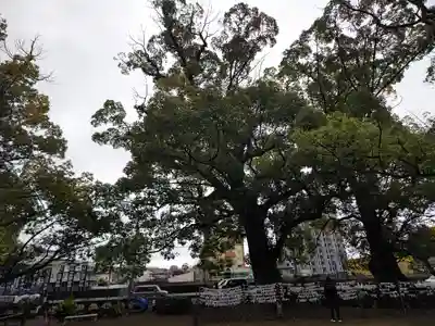 諫早神社（九州総守護  四面宮）(長崎県)