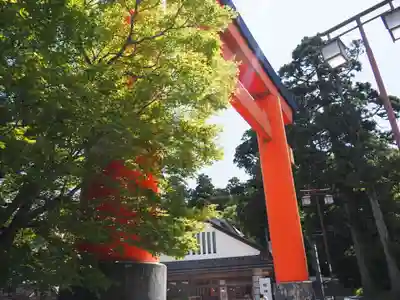 箱根神社の鳥居