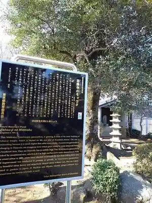  慈勝寺の歴史
