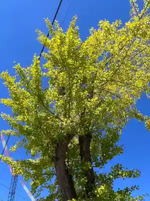 阿邪訶根神社(福島県)