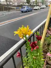 なかよし地蔵の自然